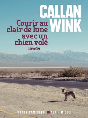 cover image of Courir au clair de lune avec un chien volé